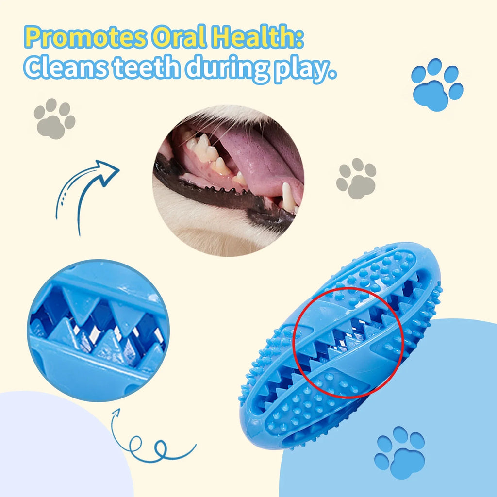 Interactive Rubber Treat Ball - Chew & Fetch Toy