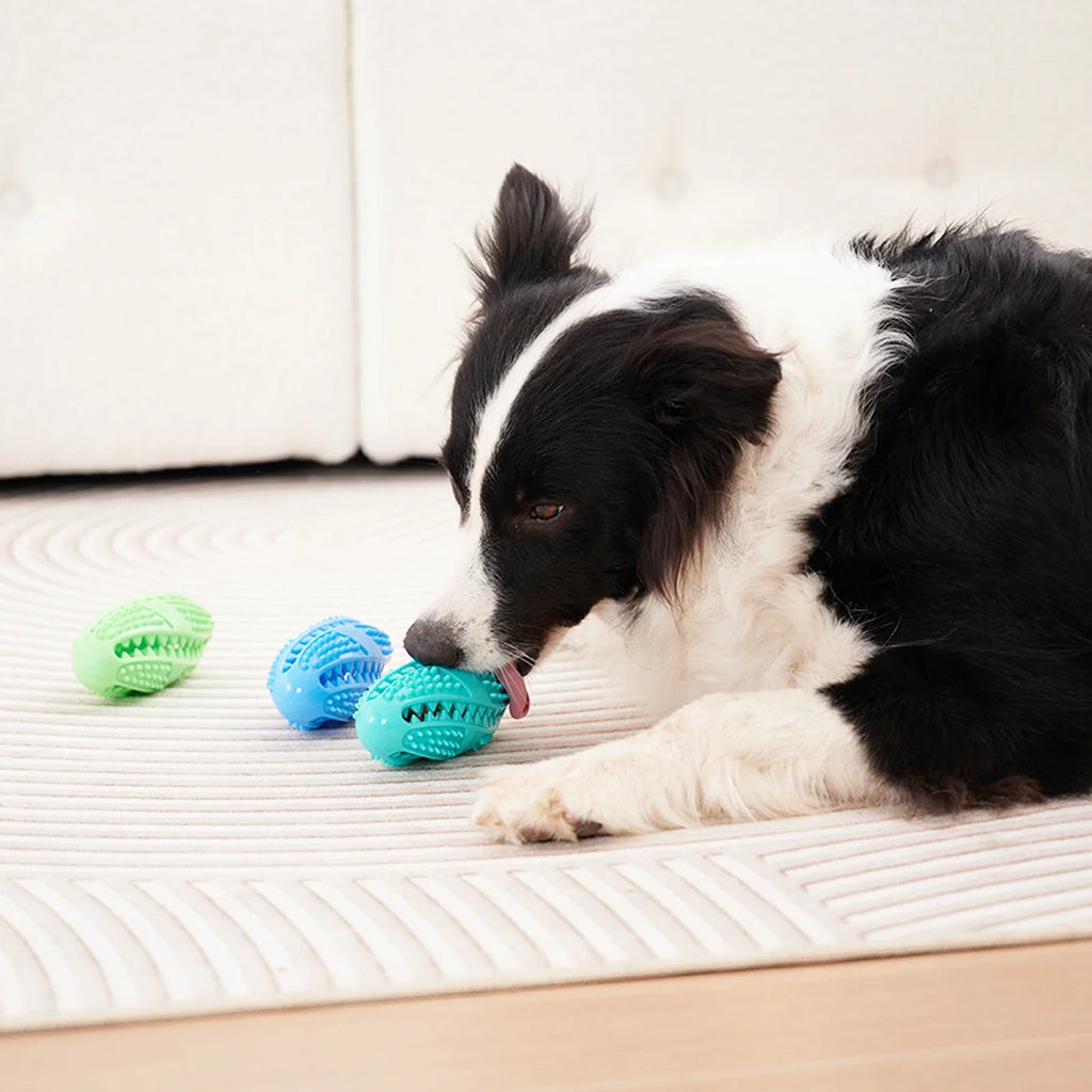 Interactive Rubber Treat Ball - Chew & Fetch Toy