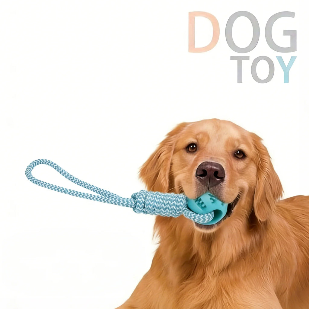 Rope Ball Chew Toy - Interactive Fetch & Tug Game